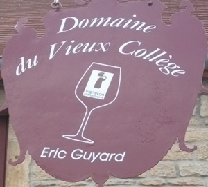 Domaine-vieux-college